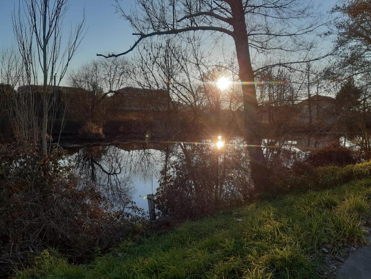Atico Rosita En Camino De Santiago Apartment Xinzo de Limia Ngoại thất bức ảnh